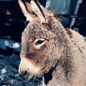 Meet your Posher, Jody